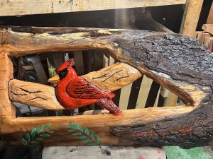 Beautiful Cardinal